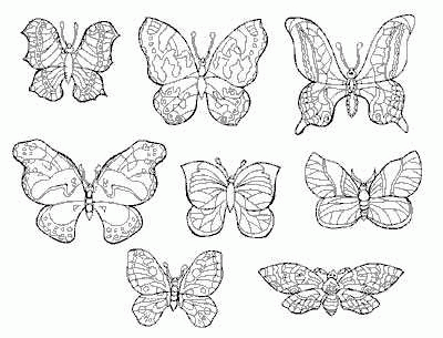 Gratis schmetterlinge zum ausdrucken 40 Schmetterlinge