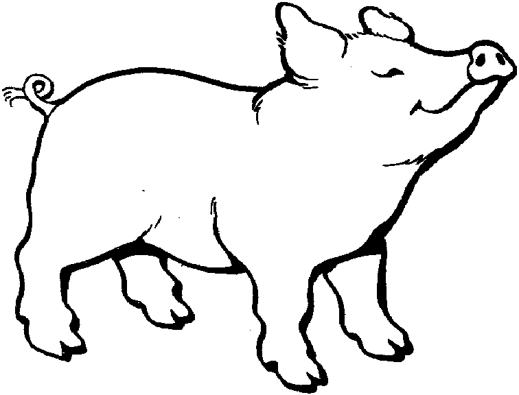 Schwein Malvorlagen