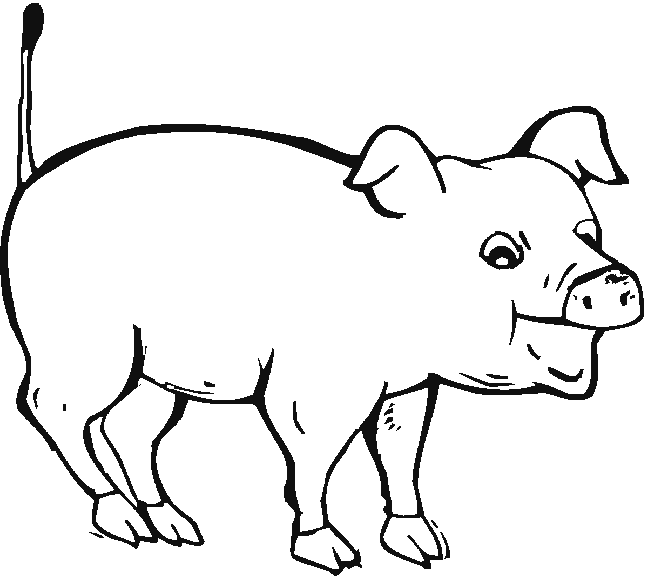 Schwein Malvorlagen