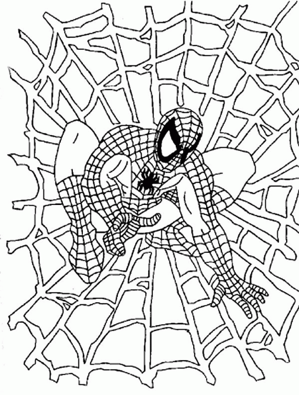 Spiderman Malvorlagen