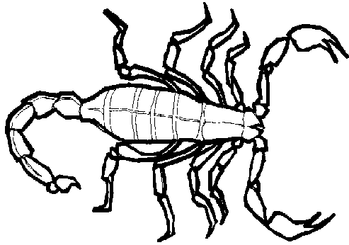 Sternbild Malvorlagen