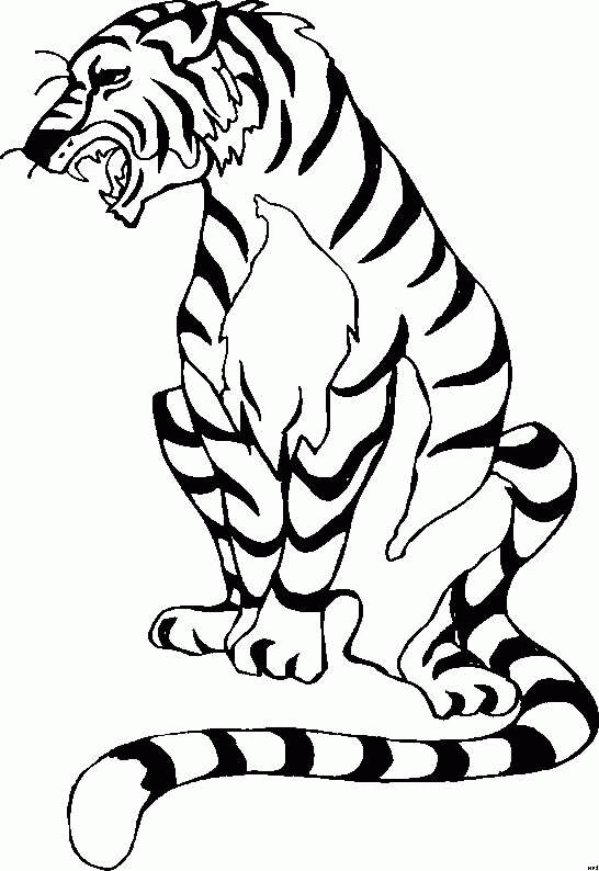Tiger Malvorlagen