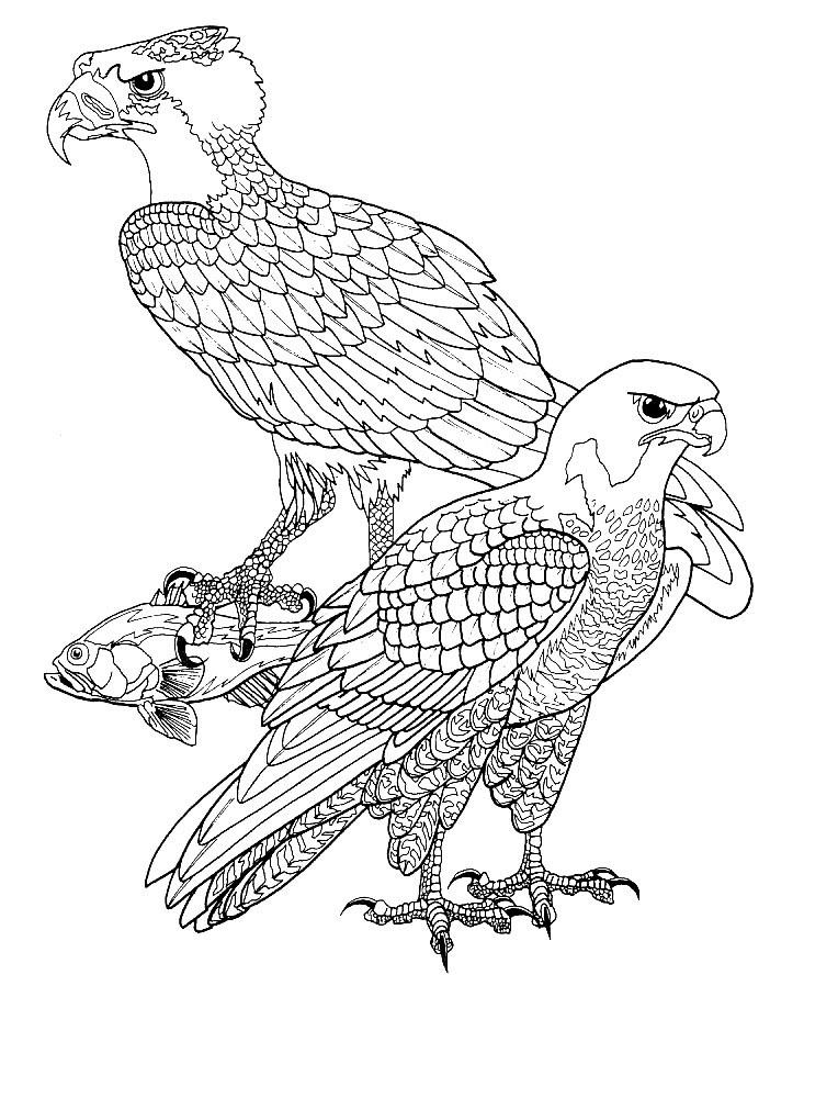 Vogel Malvorlagen