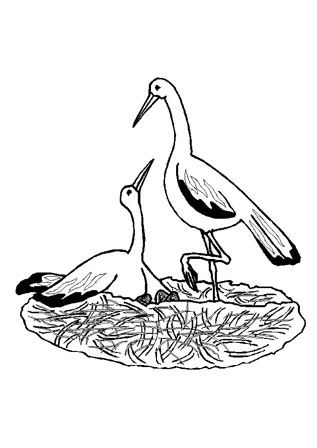 Vogel Malvorlagen